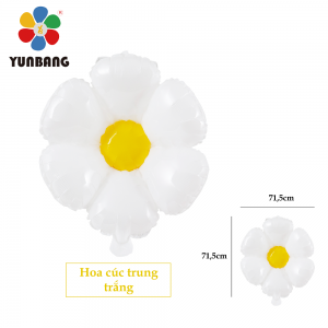 HOA CÚC TRUNG TRẮNG