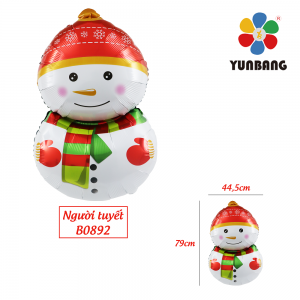 NGƯỜI TUYẾT B0892