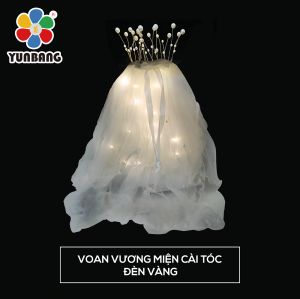 VOAN VƯƠNG MIỆN CÀI TÓC ĐÈN VÀNG